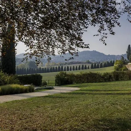 Piedmont Il Vecchio Cipresso *