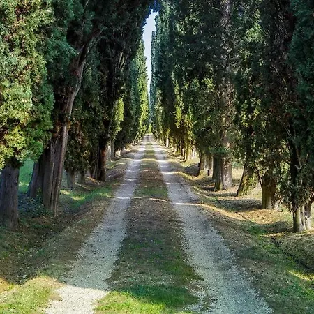 Piedmont Il Vecchio Cipresso Turim